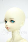 画像3: Myou Doll/1/4 ZUZANA Y-26-10-13-350-WA-ZY (3)