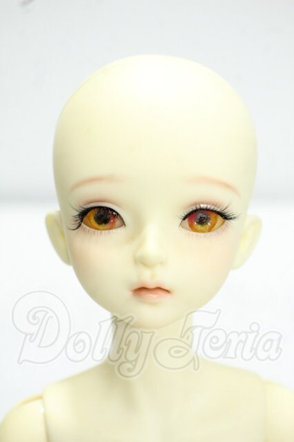 画像1: MYOUDOLL/1/4 Delia Y-26-10-13-349-WA-ZY (1)