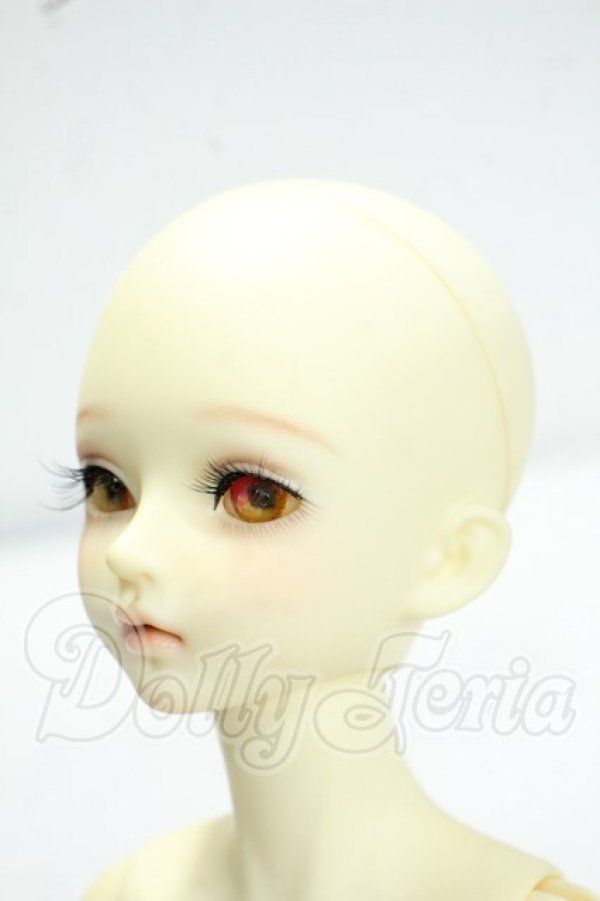 画像3: MYOUDOLL/1/4 Delia Y-26-10-13-349-WA-ZY (3)