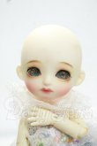 画像1: XAGADOLL/1/8 August Y-26-10-13-297-WA-ZY (1)