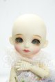 画像: XAGADOLL/1/8 August Y-26-10-13-297-WA-ZY