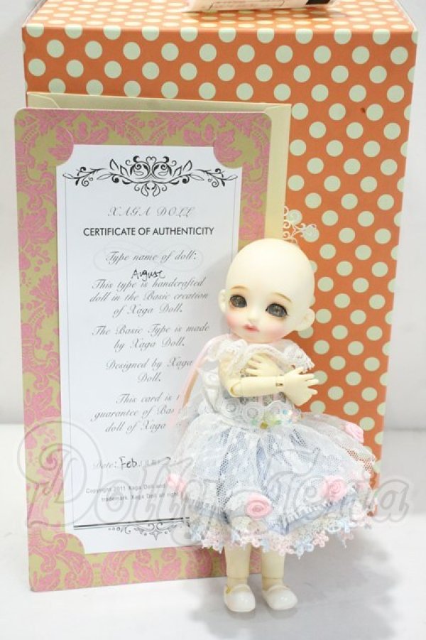 画像6: XAGADOLL/1/8 August Y-26-10-13-297-WA-ZY (6)