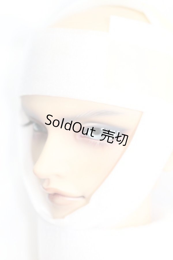 画像3: SD17BOY/レグルス 星間学寮Ver I-23-05-21-1001-ZI (3)