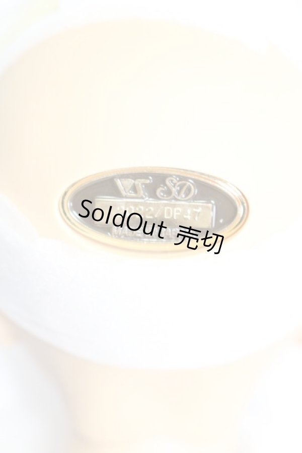 画像4: SD17BOY/レグルス 星間学寮Ver I-23-05-21-1001-ZI (4)