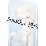 画像: SDGr/エルサ〜アナと雪の女王〜 I230521-1002-ZI