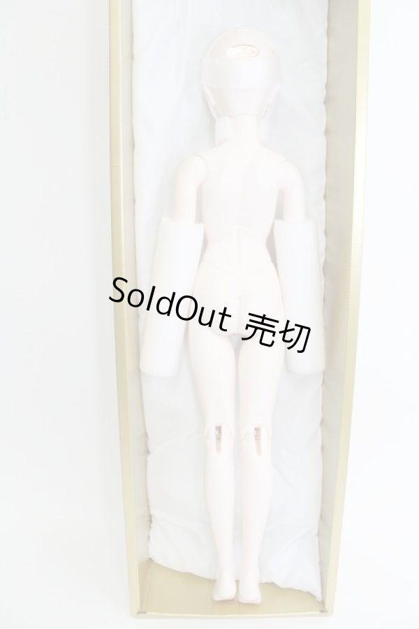 画像6: SDGr/エルサ〜アナと雪の女王〜 I230521-1002-ZI (6)