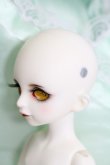 画像3: Gem of doll/Toby,Oolong tea I230702-1004-ZI (3)