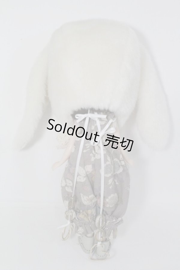 画像7: ネオブライス/シェリーバベットカスタム I230702-1009-ZI (7)