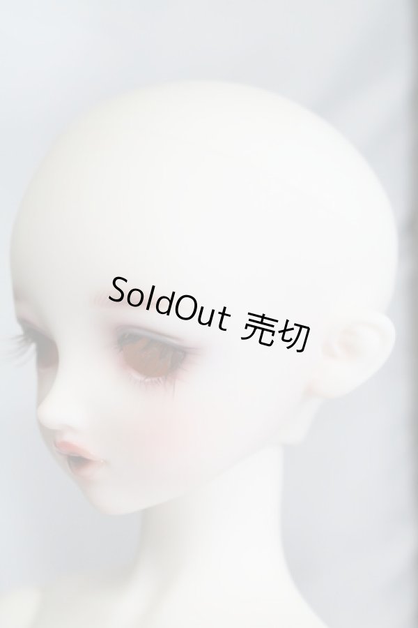 画像3: SDGIRL/リーゼロッテ Galerie de l'esprit 2021 秋冬Ver. I230716-1003-ZI (3)