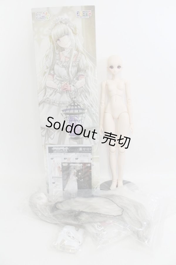 画像4: 1/3azone/ミレーネ Kina's Fantasy Romances デシャール家の堕天使 I230827-1003-ZI (4)