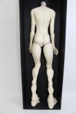 画像3: Miracle Doll/Animal Body I230827-1006-ZI (3)