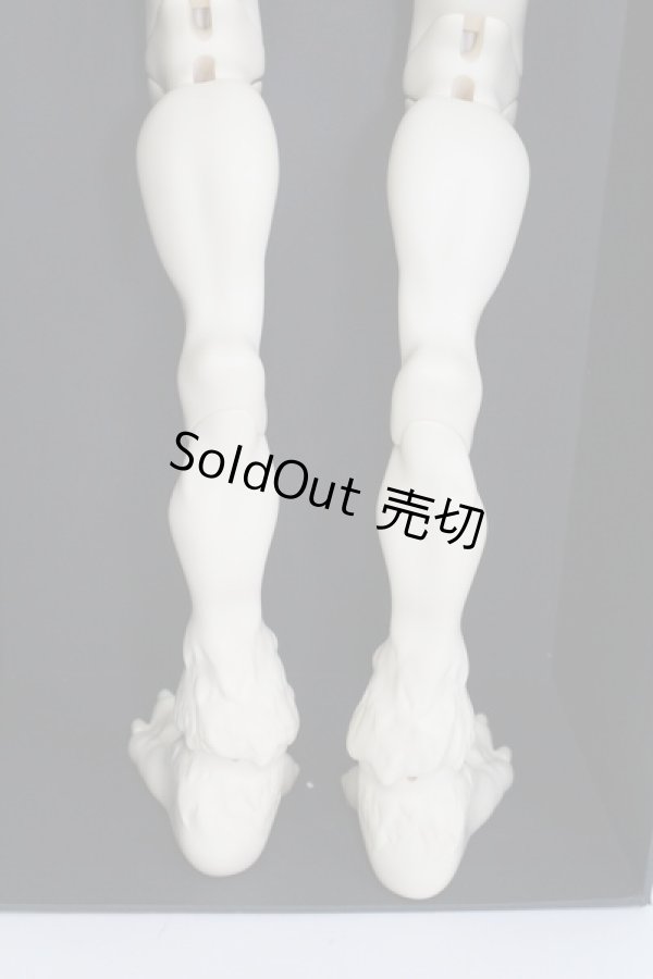 画像6: Miracle Doll/Animal Body I230827-1006-ZI (6)