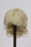 画像1: 【SALE】新品ウィッグ/53-BLY-88 T180401-034-ZT2 (1)