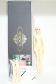 画像4: BJD CROBI/Heena：M-line Girl Chaste body Y-23-08-23-001-YB-ZY (4)