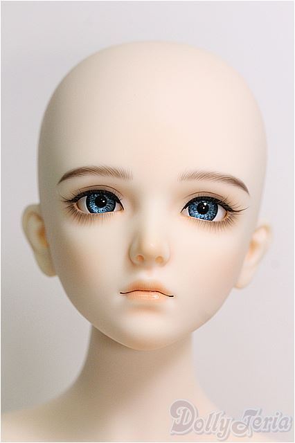 SALE】RINGDOLL/Messenger I-24-11-10-1062-TO-ZI - ドーリーテリア