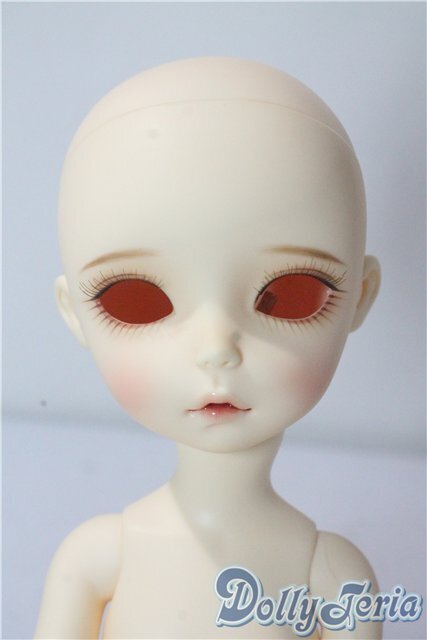 imda3.0/amellia A-25-10-22-1095-TN-ZU - ドーリーテリア